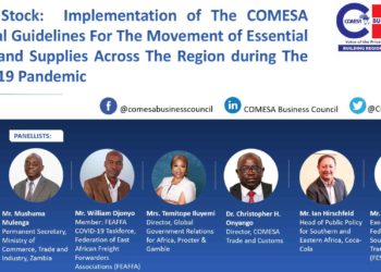 COMESA-spells-recovery-measures