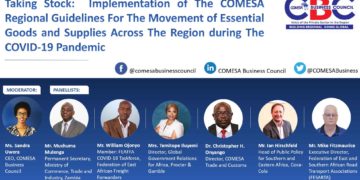 COMESA-spells-recovery-measures