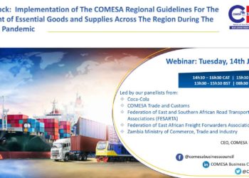 COMESA-spells-recovery-measures-PHOTO-COURTESY
