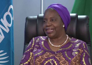 Chileshe-Kapwepwe-COMESA-SG---PHOTO-COURTESY