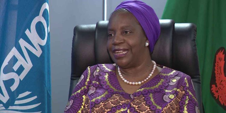 Chileshe-Kapwepwe-COMESA-SG---PHOTO-COURTESY