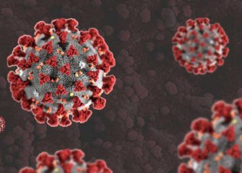 corona-virus-PHOTO-COURTESY