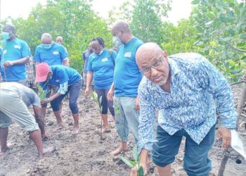KenTrade adopts mangrove expansion site in wake of huge existence threat