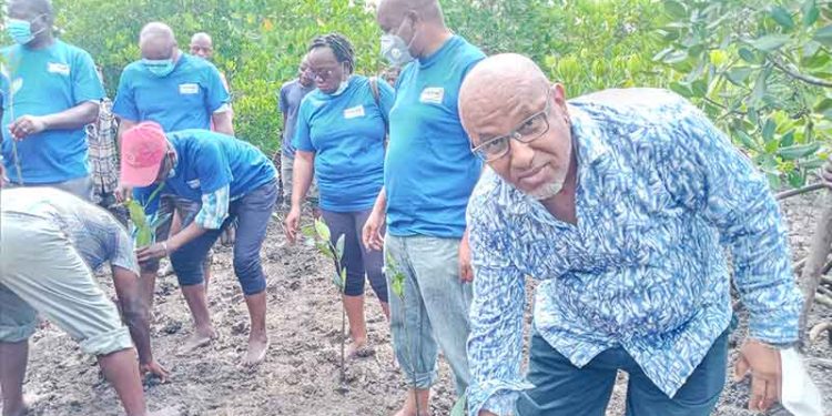 KenTrade adopts mangrove expansion site in wake of huge existence threat