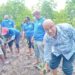 KenTrade adopts mangrove expansion site in wake of huge existence threat