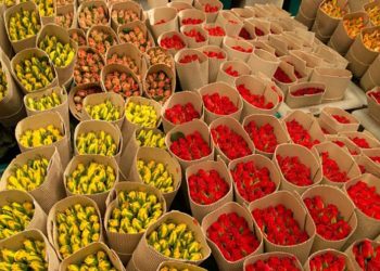Flowers for export. IMAGE COURTESY