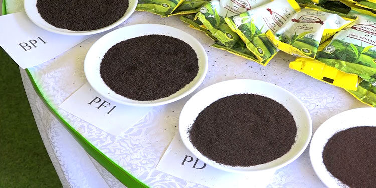 Processed Tea in Kenya | Image Courtesy
