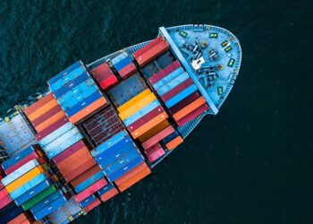 Sea Carriers Lines Banned from Investing In Other Cargo Handling Logistic | Image Courtesy