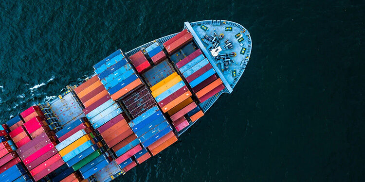 Sea Carriers Lines Banned from Investing In Other Cargo Handling Logistic | Image Courtesy